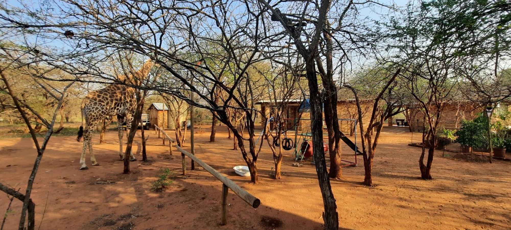 462 Bosbok Chalets Marloth Park Exterior photo